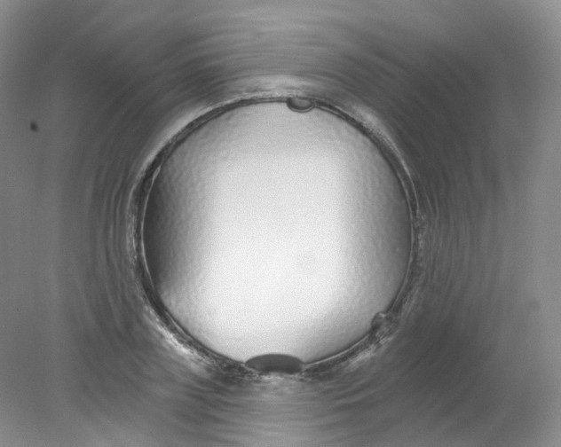 X0000078310835200611172212