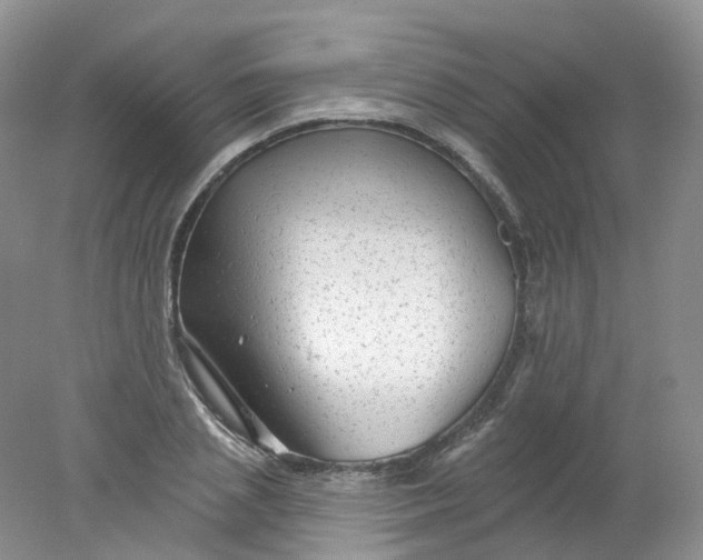 X0000078310837200611172212