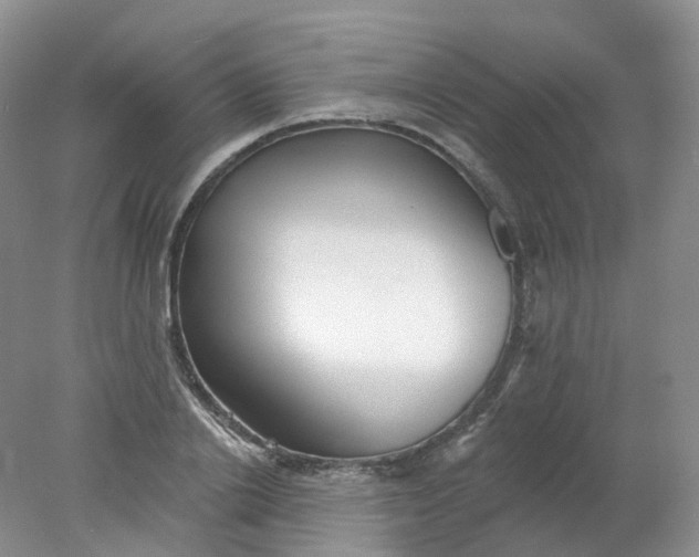 X0000078310838200611172213