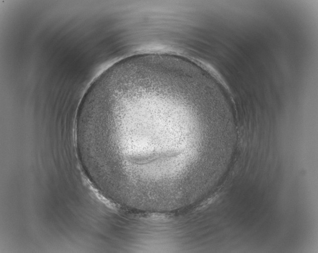 X0000078310839200611172213