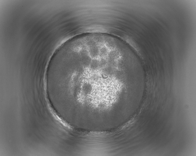 X0000078310840200611172213