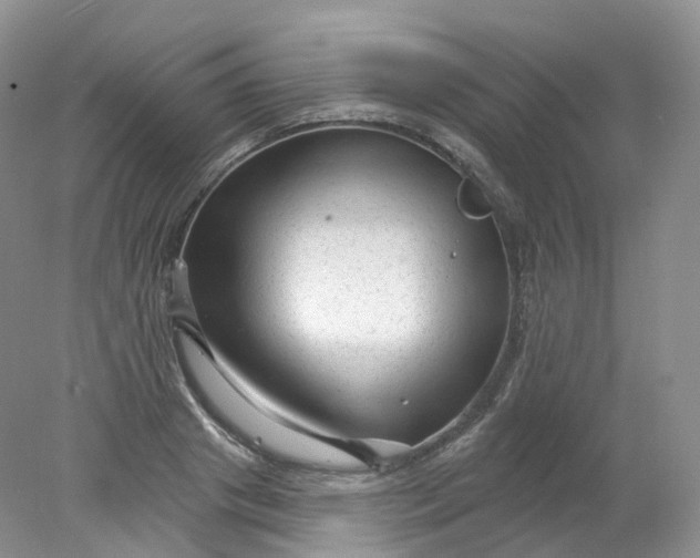 X0000078310841200611172213