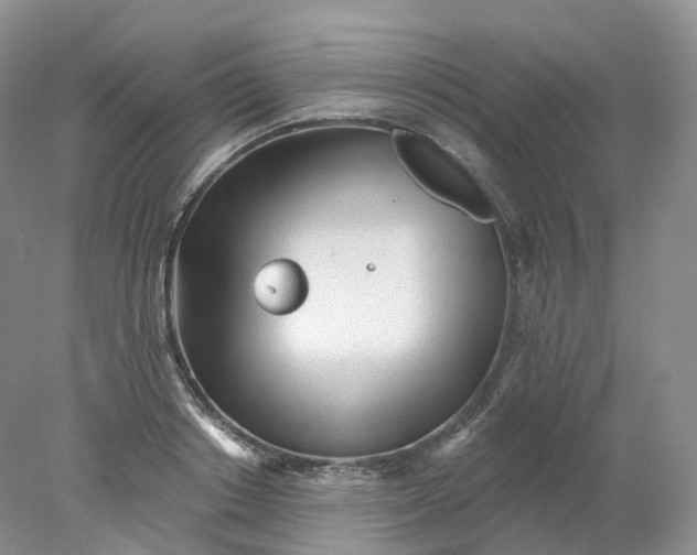 X0000078310842200611172213