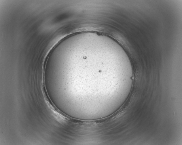 X0000078310844200611172213