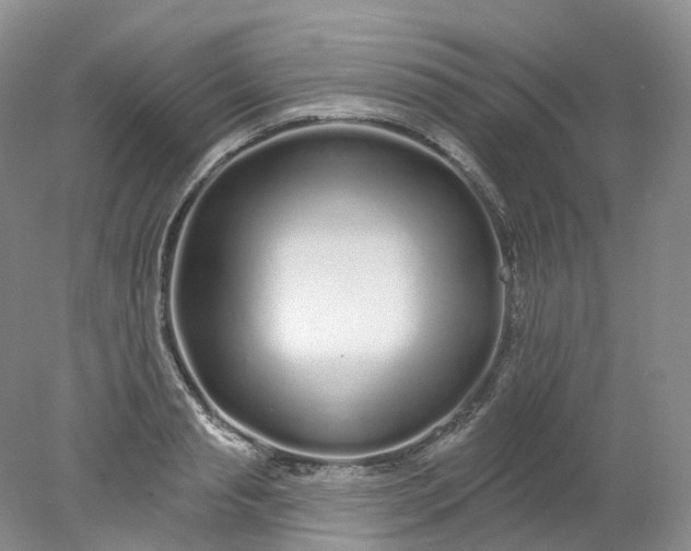 X0000078310845200611172213