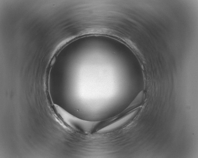 X0000078310846200611172213