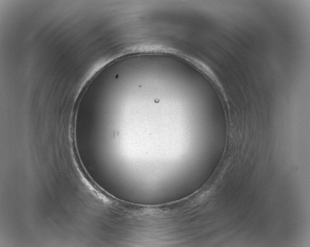 X0000078310847200611172213