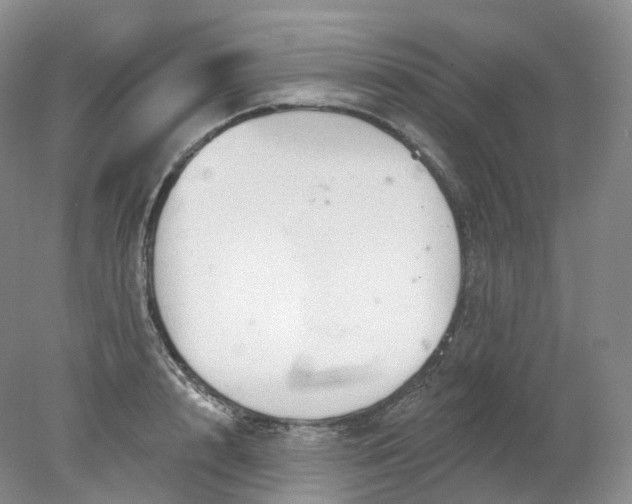 X0000078310848200611172213