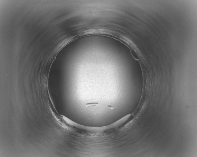 X0000078310849200611172213