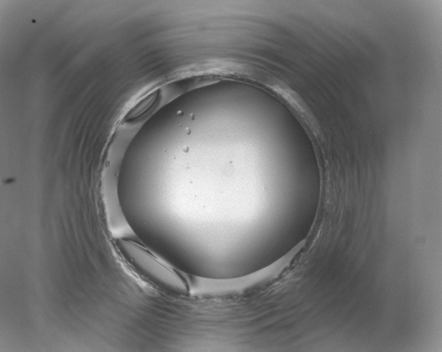 X0000078310850200611172213