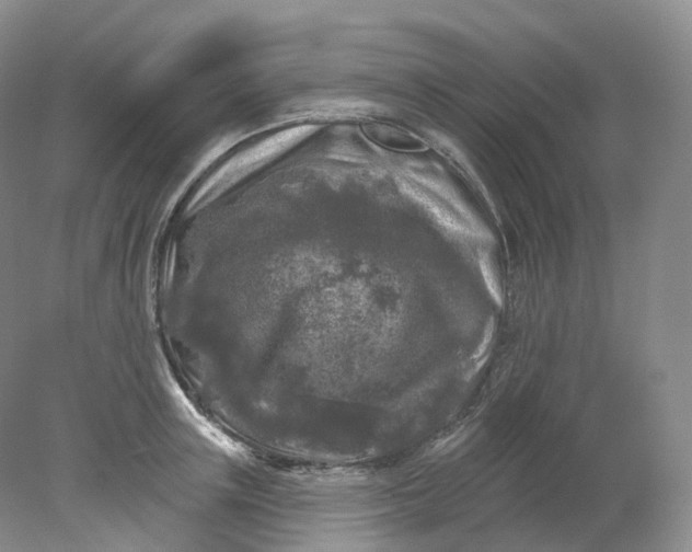 X0000078310851200611172213