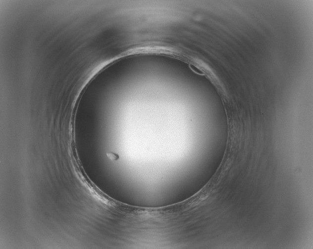 X0000078310852200611172213