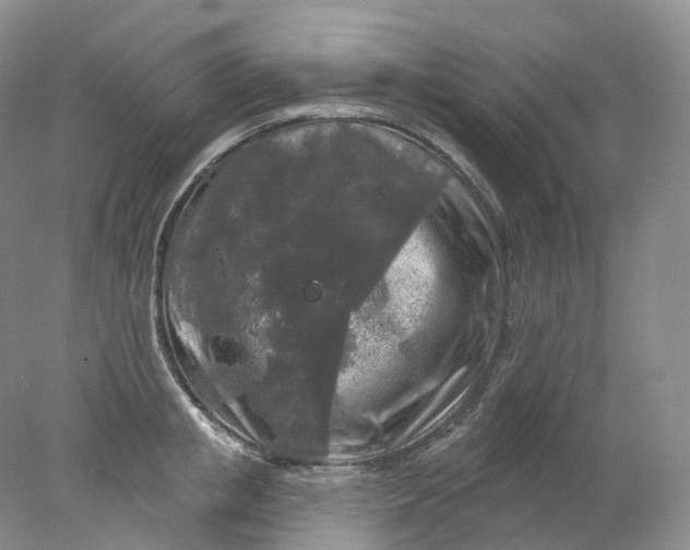 X0000078310853200611172213