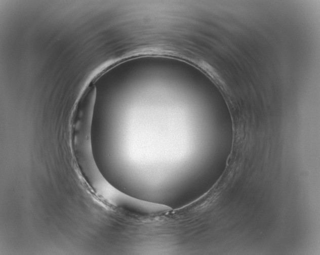 X0000078310854200611172213