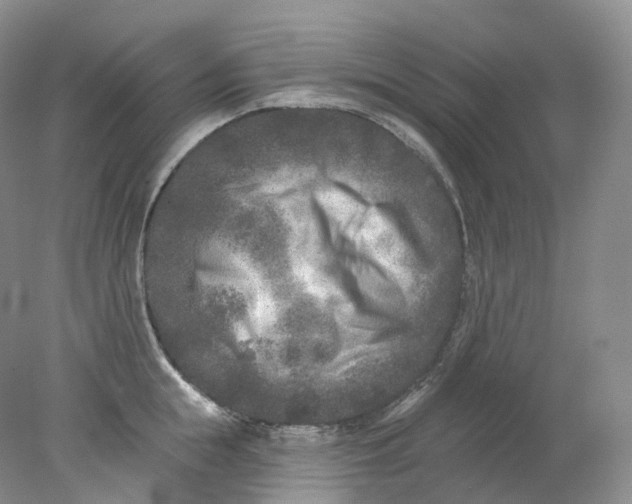 X0000078310855200611172213