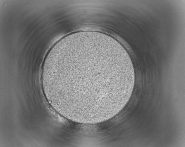 X0000078310856200611172213