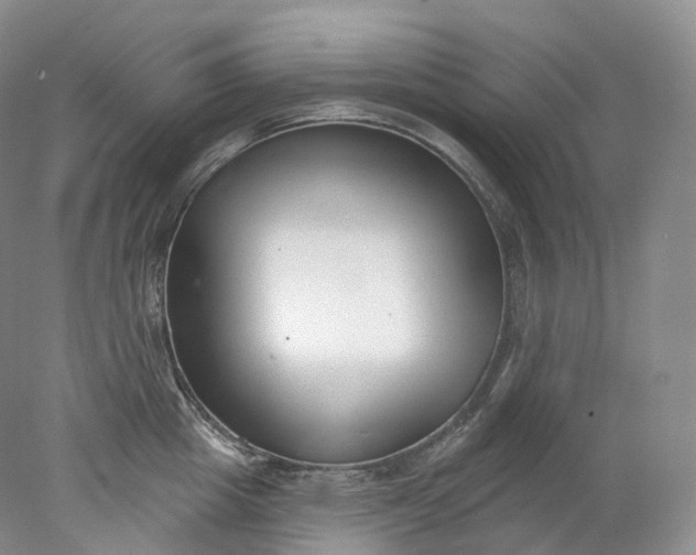 X0000078310857200611172213