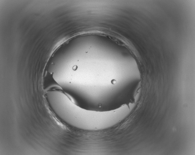 X0000078310858200611172213