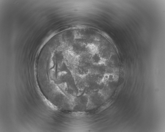 X0000078310859200611172213