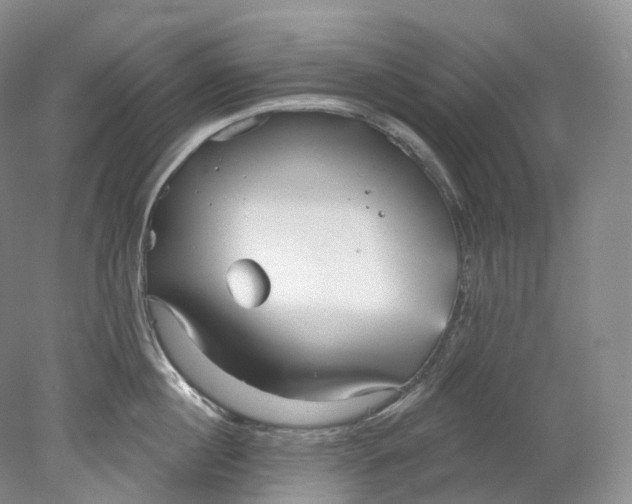 X0000078310860200611172213