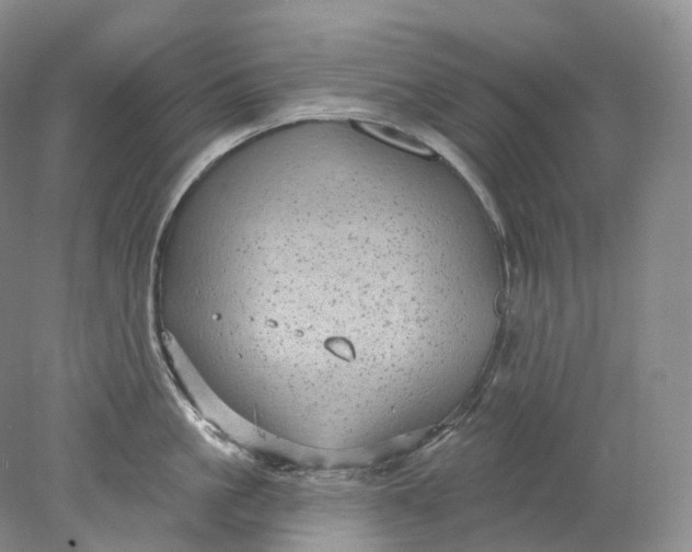 X0000078310861200611172213