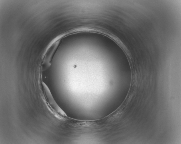 X0000078310862200611172213