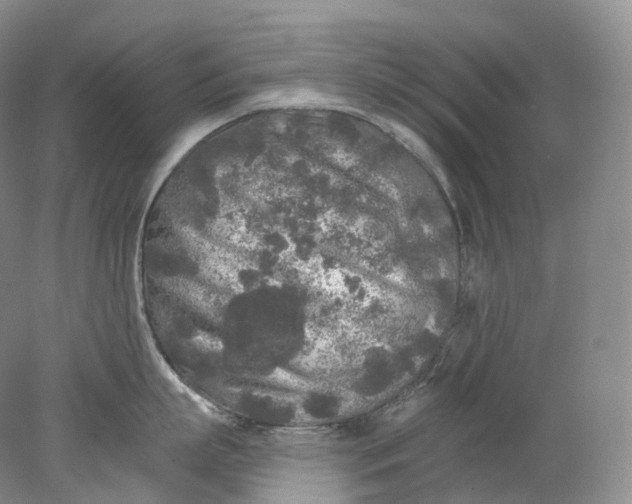 X0000078310863200611172213