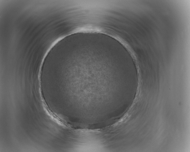 X0000078310864200611172213