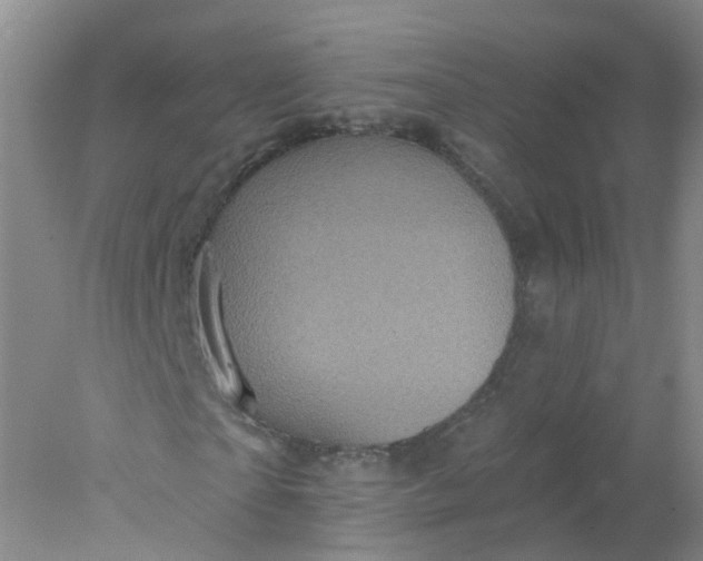 X0000078310865200611172212