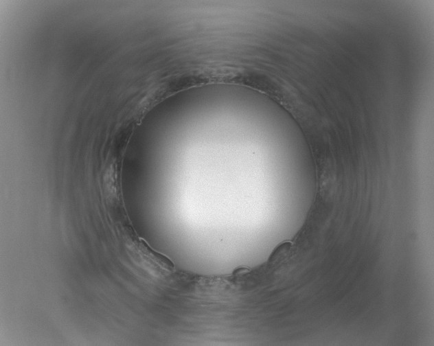 X0000078310866200611172212