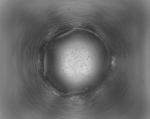 X0000078310867200611172212