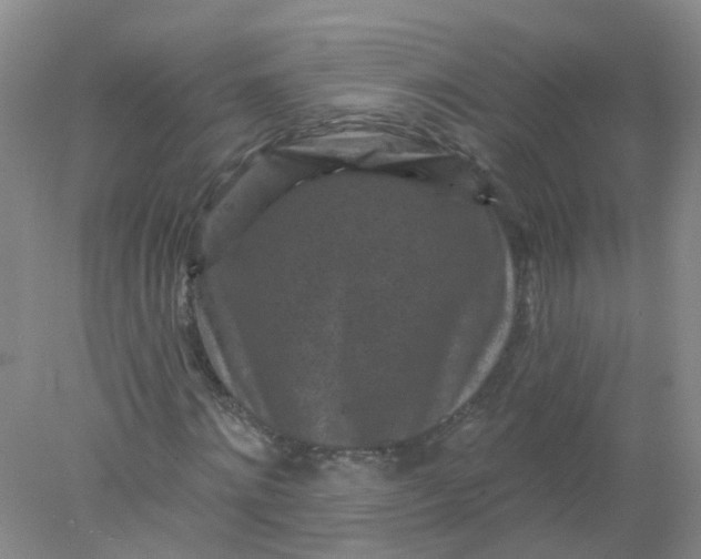 X0000078310868200611172212