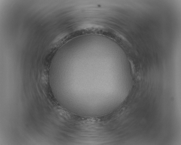 X0000078310869200611172212