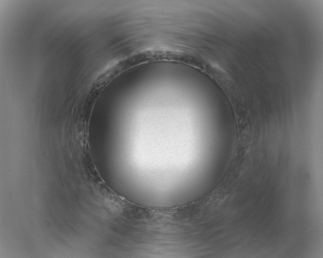 X0000078310870200611172212