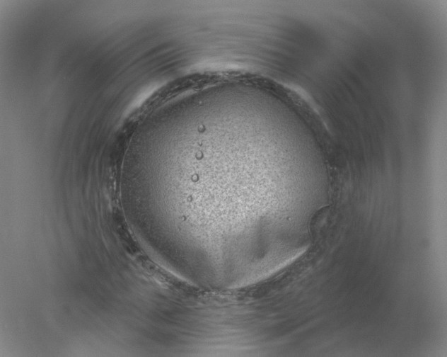 X0000078310871200611172212