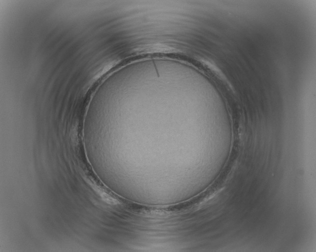 X0000078310873200611172212