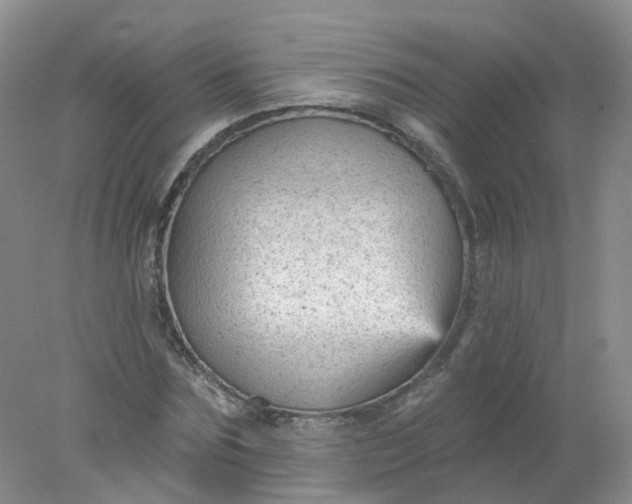 X0000078310875200611172212