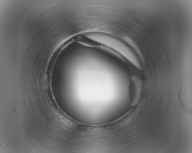 X0000078310876200611172212