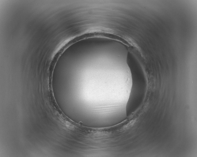 X0000078310877200611172212