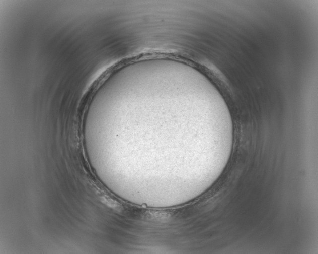 X0000078310878200611172212