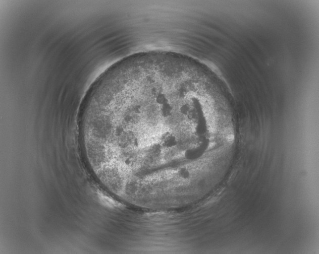 X0000078310879200611172212