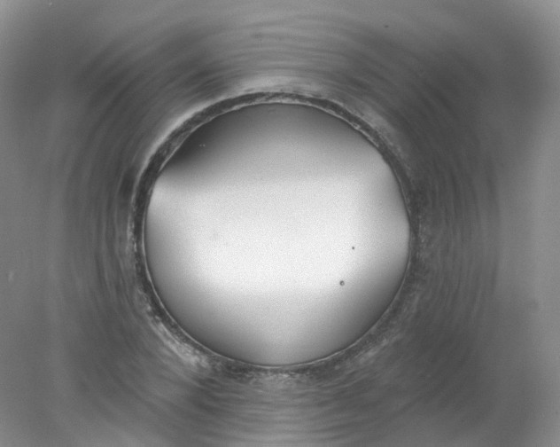 X0000078310880200611172212