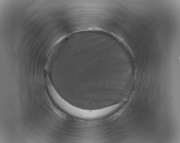 X0000078310881200611172212