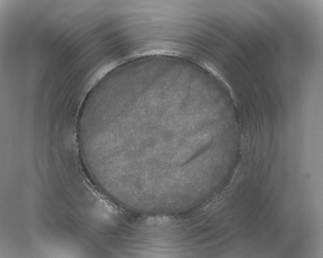 X0000078310882200611172212