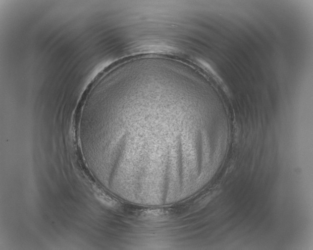 X0000078310883200611172212