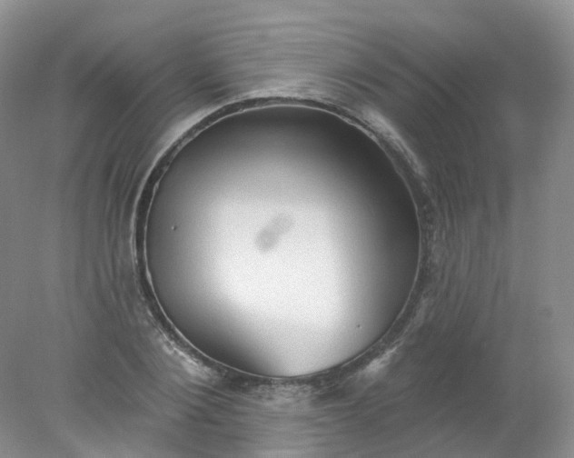 X0000078310884200611172212