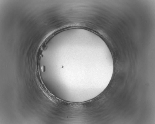 X0000078310886200611172212