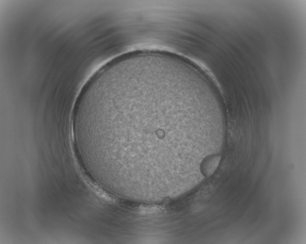 X0000078310887200611172212