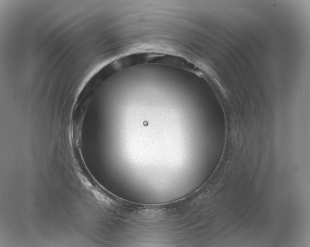 X0000078310888200611172212