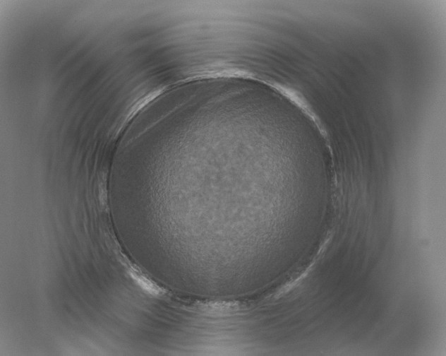 X0000078310889200611172212